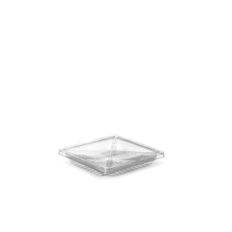 Bandeja Quadrada c/ 4 Divisorias Cristal SKU G545 - embalagem Galvanotek