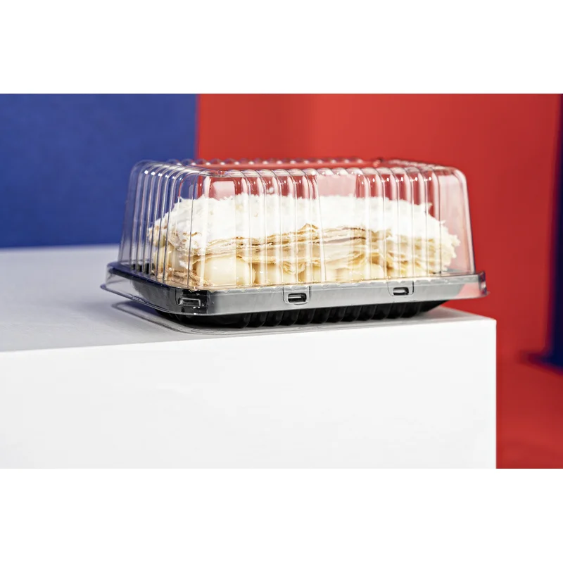 Mini torta Bolo Fatia 0,30kg BR SKU G62M - embalagem Galvanotek