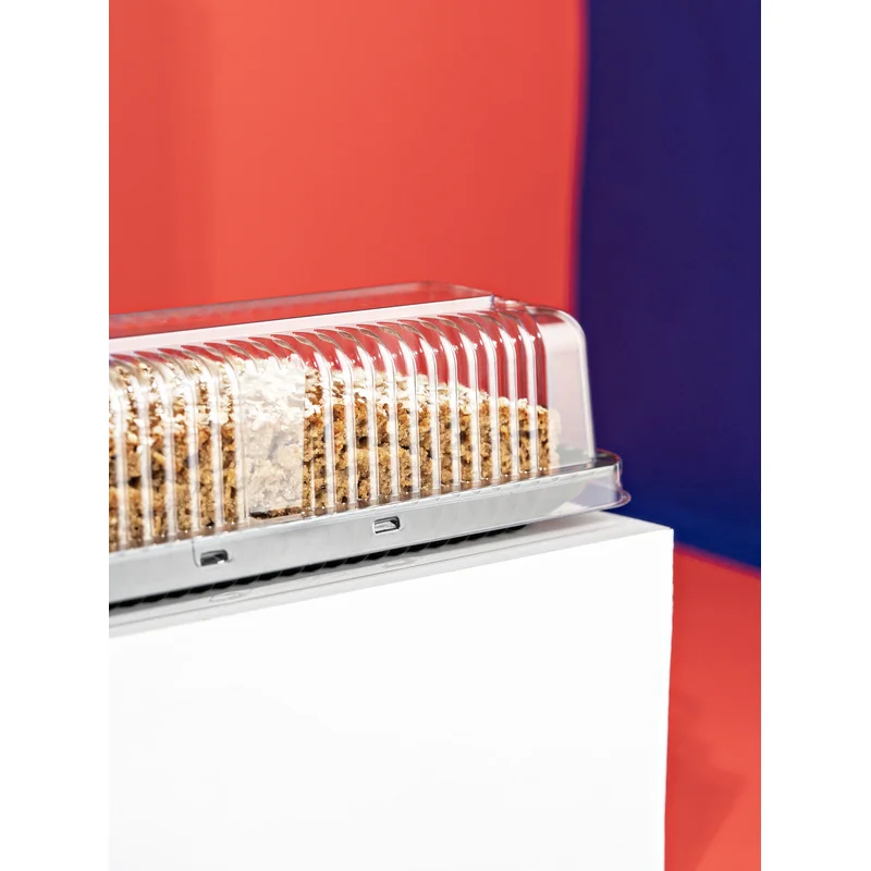 Torta Bolo Fatia Alta 0,50kg BR SKU G63MA - embalagem Galvanotek
